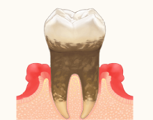 一般歯科2